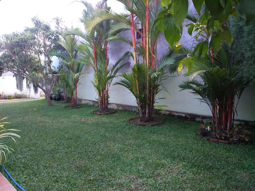 Illumination Stay Negombo Dış mekan fotoğraf